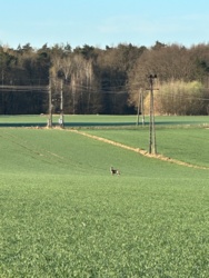 079e2dc4-20fe-4b61-9e2f-334f6c40a30c