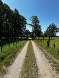 0b9e21fb-5b0a-46fb-9273-96b3e693cec4