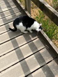 336498a2-c274-4f6a-9dfa-08293b48b8d9