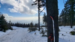 92f8f5d5-0a1f-4732-ade9-8ec762acf507