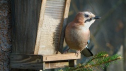 9c499342-4e38-4962-b8ec-0d5744e2765c