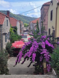 7f5cbba3-7680-4464-9602-565b6f21e66b