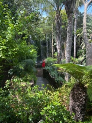 ac03b1c0-3dfb-46a0-91e9-a52d8a33734f