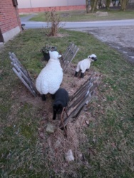 20810108-554b-41eb-8acc-15883c9b942c