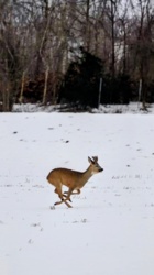 cce14b6f-05c0-4136-b180-7797242b2d7a