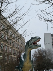 5374c2e1-2e35-4d0a-9907-0b541bc31248