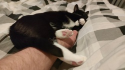 7de360fe-7a65-419c-b821-af13b5fbebd0