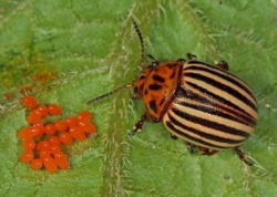 f5fed691-0322-46fe-99cc-5b6af4b68a3e