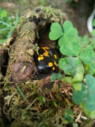 9b4f46e6-d677-43a9-9894-1995b0fdeff7