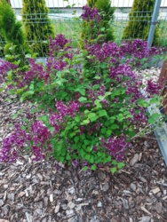 3883e50d-b426-4625-b0fd-863bdf507182