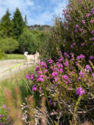 674f71b3-2e4e-4045-a59e-2971922228c8