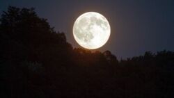 Rakieta uderzy w Księżyc. Eksperci: wystrzeliły ją Chiny, a nie SpaceX Elona Muska