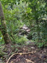 fe730fa3-362c-4b76-bcd9-cae364fa00c0