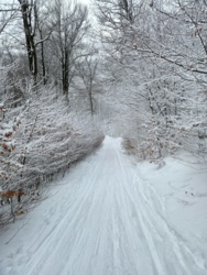 dbd107ff-f49a-4f71-8b63-2c7d3bbe94bb