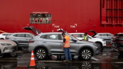 Chińczycy przejmują rynek w Polsce. Wyraźny trend. "Bardzo szybko zwiększają udziały"