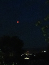 a2a13773-925e-412b-97a4-1301d0f54b79