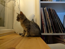 dd14d482-7979-42c4-b64b-9ef03031baa3