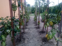 745aad1e-dd3e-42cc-88c8-f9abb1c464dd