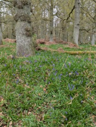 ffdee1ad-3772-46e3-9858-49f7172dbe7f