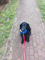 8a783924-f160-4085-8a49-b6be535626d5