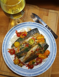 5050e828-9885-4986-bd69-be767552ab01