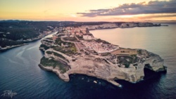 eb1c1dfc-a0d4-474c-8235-c1ea30515950