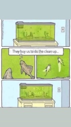 9e8f53ec-bde7-4627-8b6f-e709025ab746