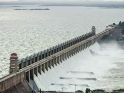 04d16078-1848-439a-a4be-e2420d4f0812