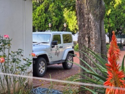 51594043-0dde-4be1-a686-ca1aa0cfbabd