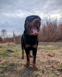 fcfe26d9-adc9-43f3-b2f1-b2fd8cfdcddc