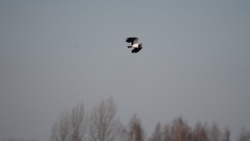 d98ed08d-f44c-4583-838e-ddc9331a554e