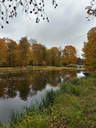 0d4c1b65-1178-433d-adb7-2b538589de8b