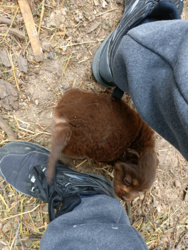 9a9e74ea-1c43-4b97-8cf0-e454a403e8dd