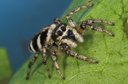 9896538a-a8ef-42e6-8410-d43143d278df