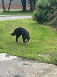 6b654d49-3060-4951-a6f7-f4ea899fc6ca