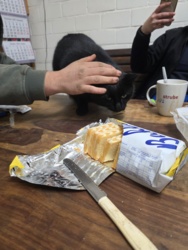 7c6def8e-9d7f-4d78-807e-9a2a5208b264