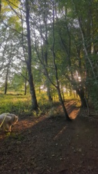 4344f63b-084f-4eb4-90b7-207fd54932c1