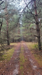 040d87dd-184d-4cb1-9a44-200c5656da8c