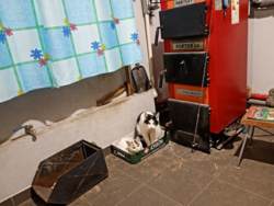 43f063f9-1967-40b0-855e-8ee784a5f836