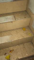 1401a111-0c38-447d-800c-b334e3f25277