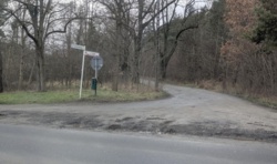 Prostytutki śmieciły przy podpoznańskiej trasie, postawiono im kosz na śmieci