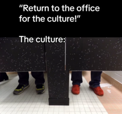 ae8cd1ce-d0ba-44c8-b863-170ea3c79e5c