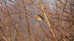 19702b1c-b444-4635-87d8-2011b9206358