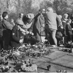 83e3bd83-4d77-46fa-83ee-aa83473a59bd