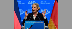 Wycofanie euro, wyjście z Schengen. Liderka AfD ma plan dla Niemiec
