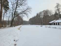 97d3b256-f016-453a-92a7-7047eaa9f2ce