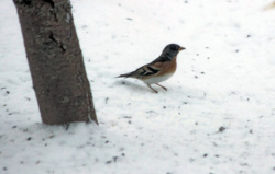 88dd36a9-c2e5-4e36-9cdc-5f951789ea9e