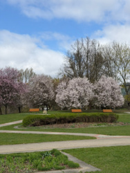 d1c3f239-b318-4011-b965-e7ebf183c0c2