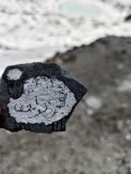 06797a14-298f-4250-a42e-3f68d09bc37f