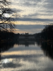 c786e8ca-7861-43ca-a2eb-025b24828553